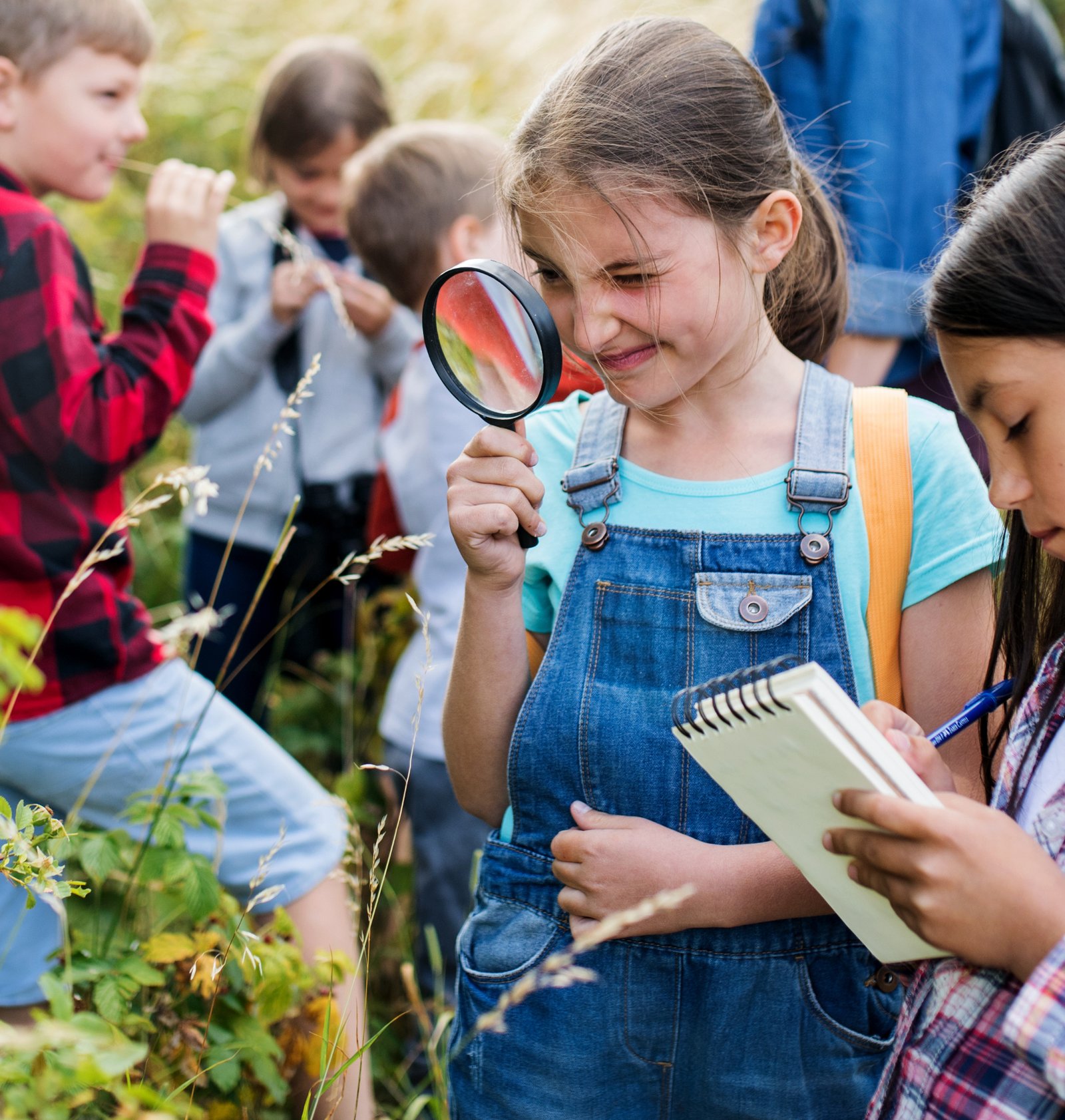 enfants loupe nature recadre