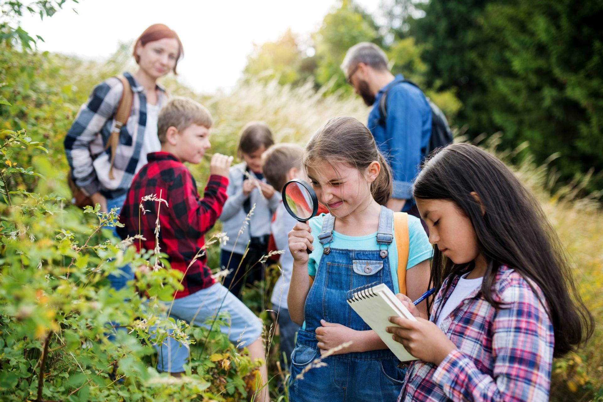 enfants loupe nature