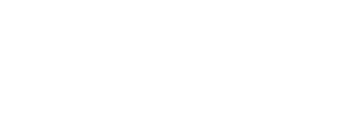 logo zigzag blanc
